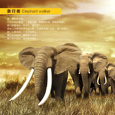 企業(yè)宣傳冊(cè)封面設(shè)計(jì)案例